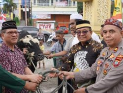 Walikota Bitung Maurits Mantiri Serahkan Sapi Kurban Seberat 1 Ton